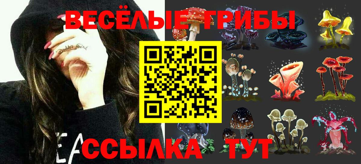 Галлюциногенные грибы мухоморы  Вход с VPN  Нижний Тагил  Псилоцибиновые грибы прущие грибы 